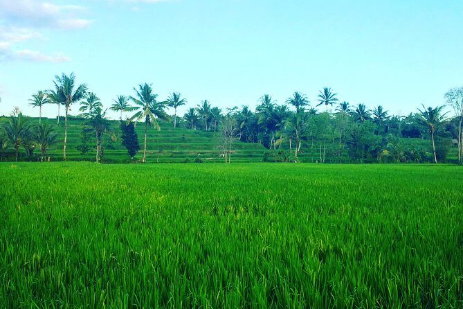 Benang kelambu waterfall and benang stokel waterfall lombok - Authentic Experiences and Real Insights