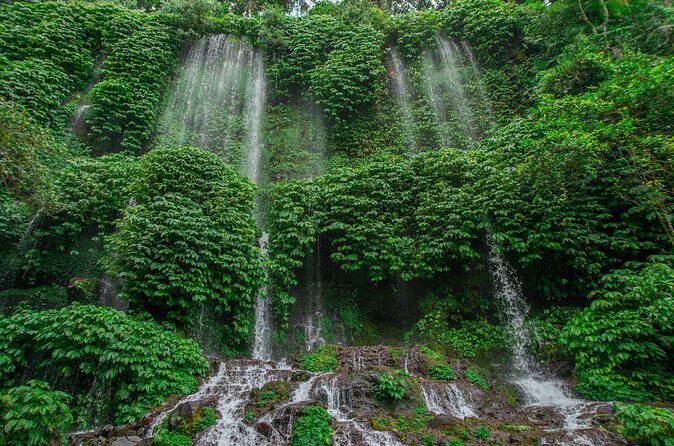 Benang Kelambu Waterfalls the Hidden Wonders of Lombok Island - The Sum Up