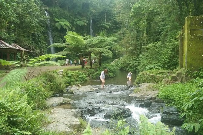 Benang Stokel and Kelambu Waterfall Tour - Lombok Private Tour - Tour Details
