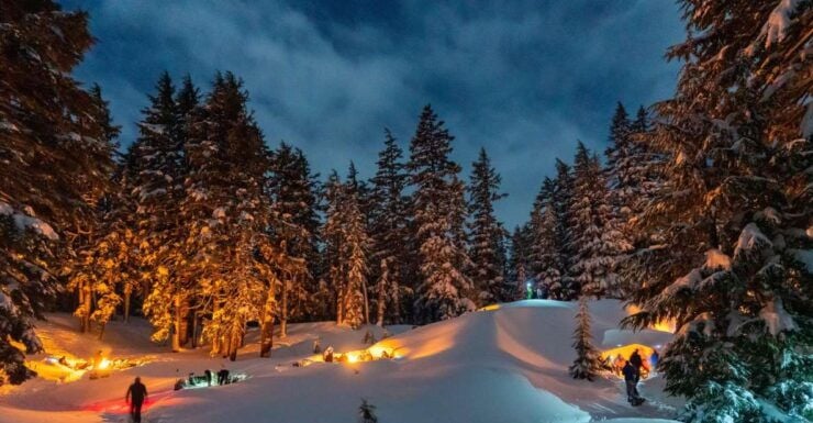 Bend: Cascade Mountains Snowshoeing Tour and Bonfire - Activity Details