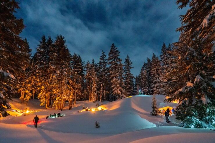Bend: Cascade Mountains Snowshoeing Tour and Bonfire - Experience