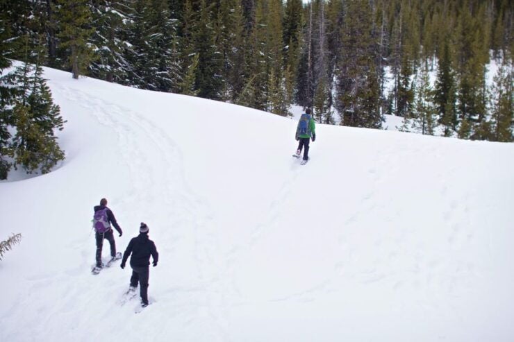 Bend: Half-Day Shoes, Brews, and Views Tour - Activity Details
