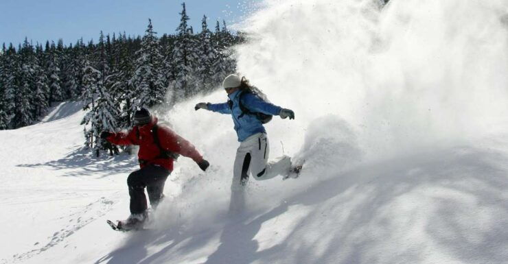 Bend: Half-Day Snowshoe Tour in the Cascade Mountain Range - Good To Know