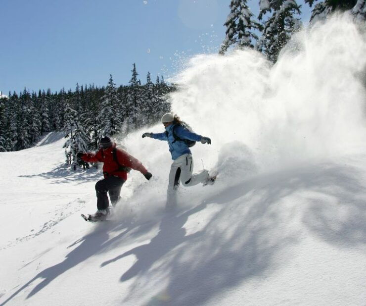 Bend: Half-Day Snowshoe Tour in the Cascade Mountain Range - Experience