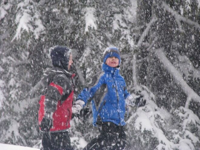 Bend: Half-Day Snowshoe Tour in the Cascade Mountain Range - Full Description