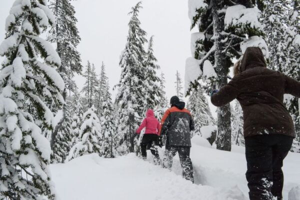 Bend: Half-Day Snowshoe Tour in the Cascade Mountain Range - Directions