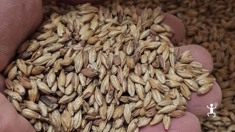 Benevento: visit and tasting at a brewery in Apollosa - What Makes This Tour Stand Out?