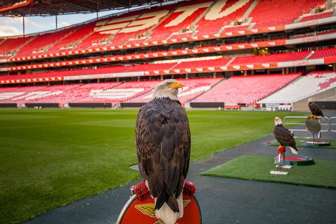 Benfica Stadium Tour and Museum Entrance Ticket - Accessibility and Ticket Details