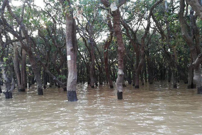 Beng Mealea, Floating Village (Kampong Phluk) and Rolus Temples Tour - Operator Information