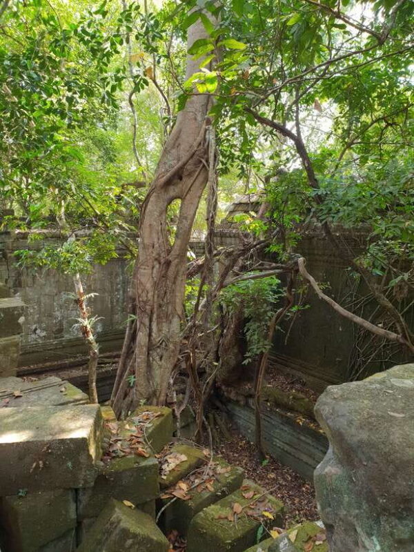 Beng Mealea, Koh Ker & Floating village Day Tour - Why This Tour Offers Great Value