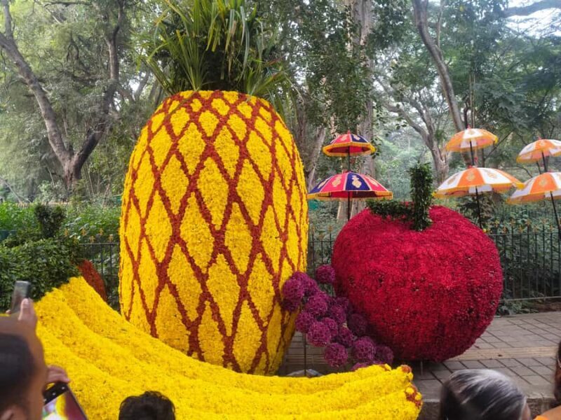 Bengaluru: Cubbon Park Nature Walking Tour - Who Will Love This Tour?