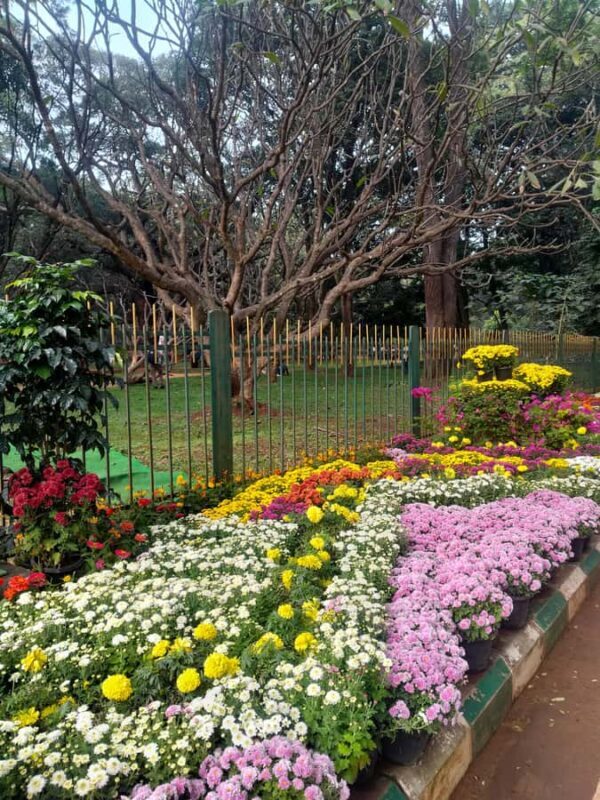 Bengaluru: Cubbon Park Nature Walking Tour - FAQ