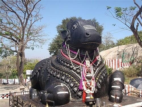 Bengaluru Full-Day Private Palace & Temple Tour - Who should book this tour?