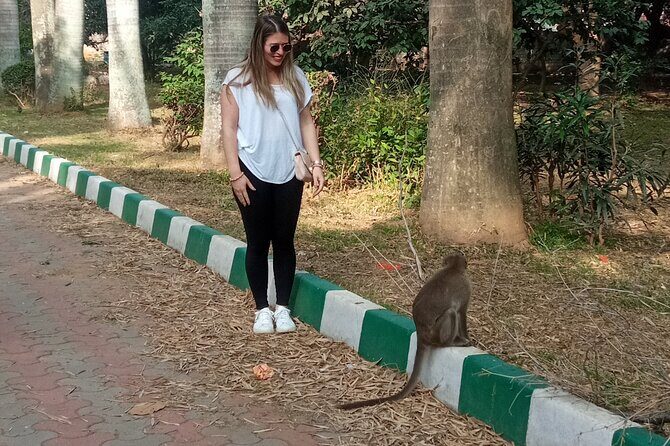 Bengaluru full day Tour with Guide and Authentic lunch - Final Thoughts