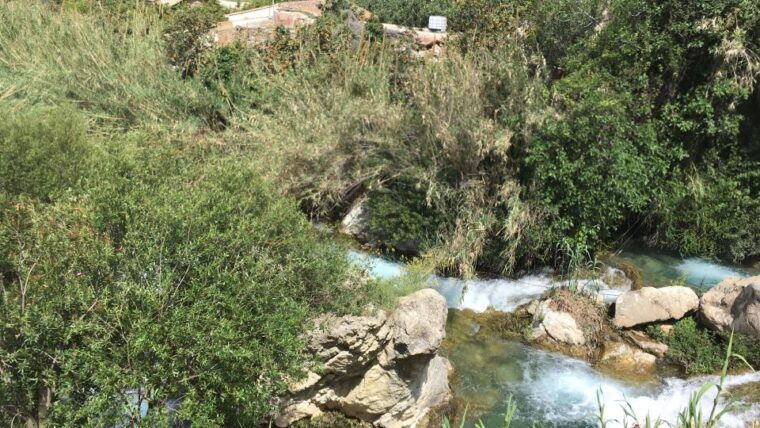 Benidorm: Jungle or Algar Waterfalls Quad Tour - Highlights and Experience