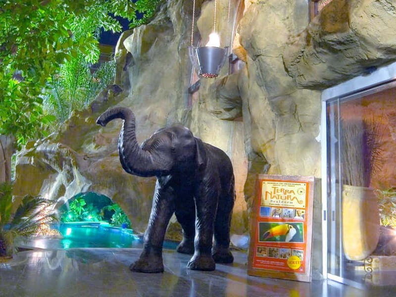 Benidorm: Magic Rock Gardens Day Pass - Practical Tips for Visiting