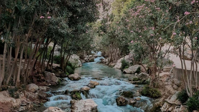 Benidorm: Mountains Half-Day Jeep Trip to Algar Waterfalls - The Value of the Experience