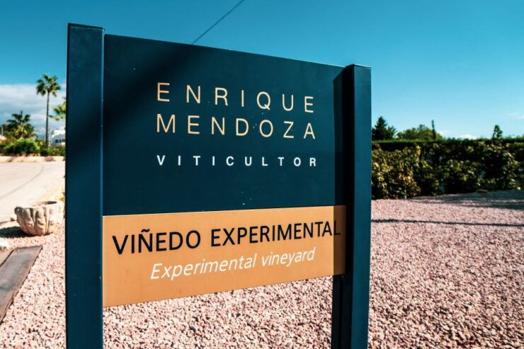 Benidorm: Private City Highlights Tour With Wine Tasting - Tour Overview