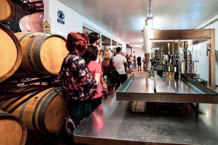 Benidorm: Private City Highlights Tour With Wine Tasting - Experience Highlights