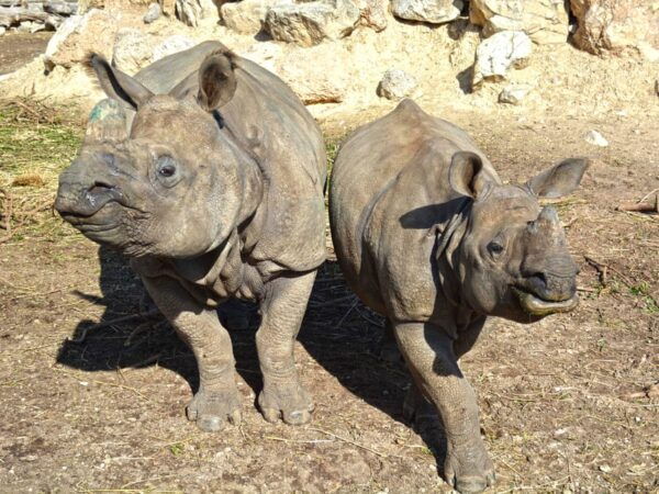 Benidorm: Terra Natura and Aqua Natura Combo Day Ticket - Park Combination and Discounts