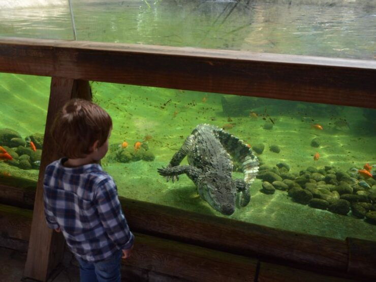 Benidorm: Terra Natura and Aqua Natura Combo Day Ticket - Ticket Details