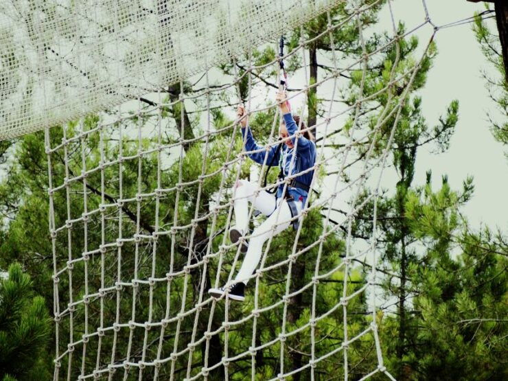 Benidorm: Zip-lines in Alicante Forestal Park - Experience Details