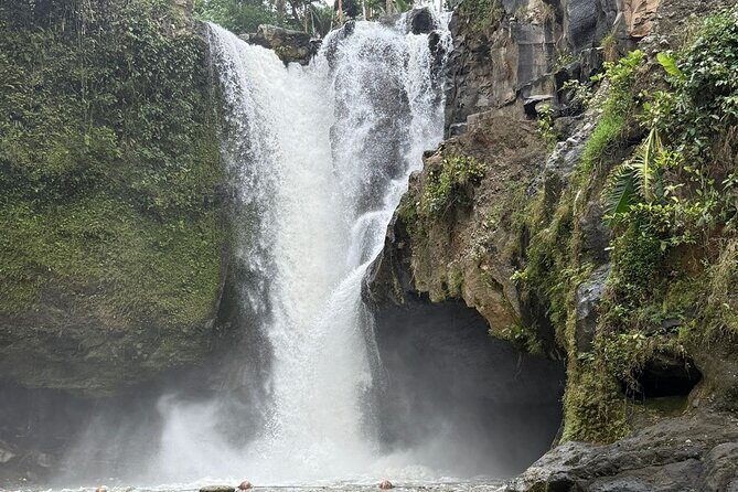 Benoa Port - Cruise Ship Shore Excursion - Private Guided Tour - What’s Included and Whats Not