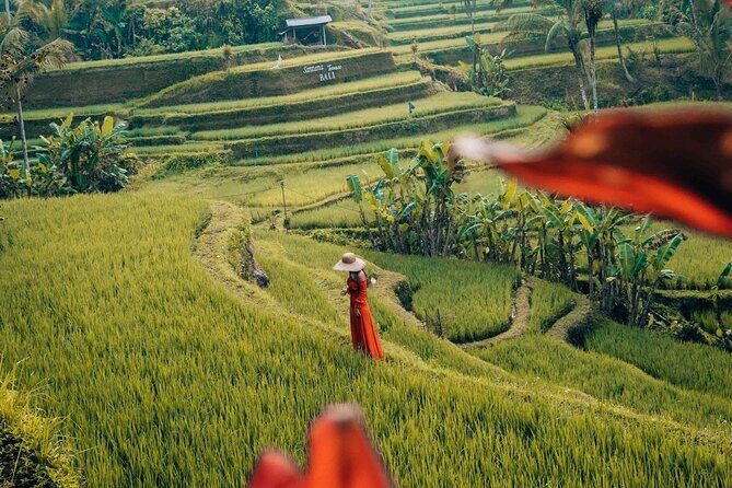 Benoa port Shore Excursion private South Bali Nature Tour - Transportation and Practicalities