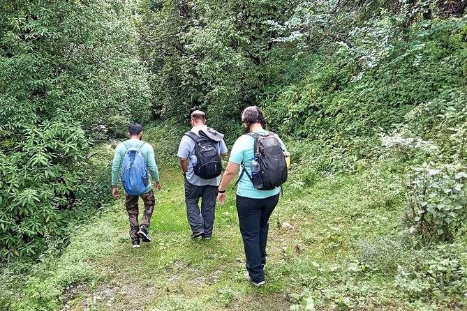 Benog Tibba Nature Trail - Experience Highlights