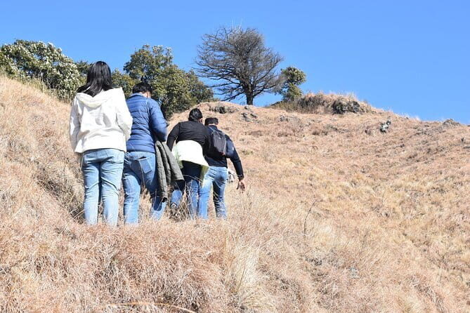 Benog Trek into the Wild - Introduction