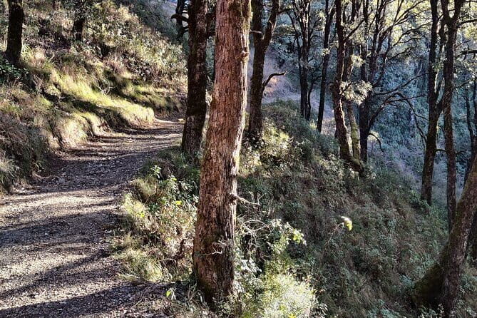 Benog Trek into the Wild - What to Expect from the Experience