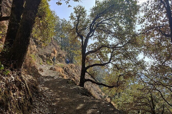 Benog Trek into the Wild - What is the Benog Trek into the Wild?