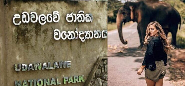 Benthota To Udawalawe National Park Safari Tour - Booking and Payment Details