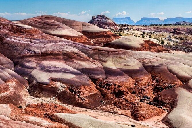 Bentonite Hills 4X4 Offroad Private Tour - Good To Know