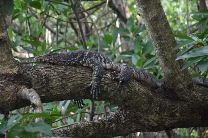 Bentota: Ayurveda Day Treatment & Mangrove River Boat Safari - FAQ