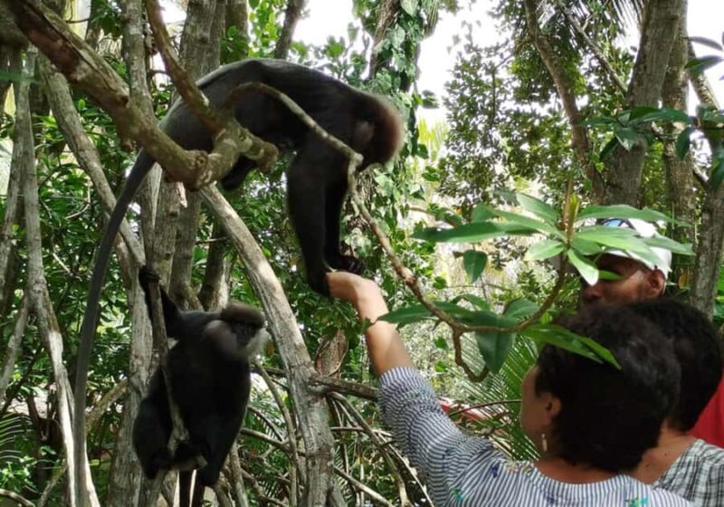 Bentota: Ayurveda Day Treatment & Mangrove River Boat Safari - What Makes This Tour Stand Out?