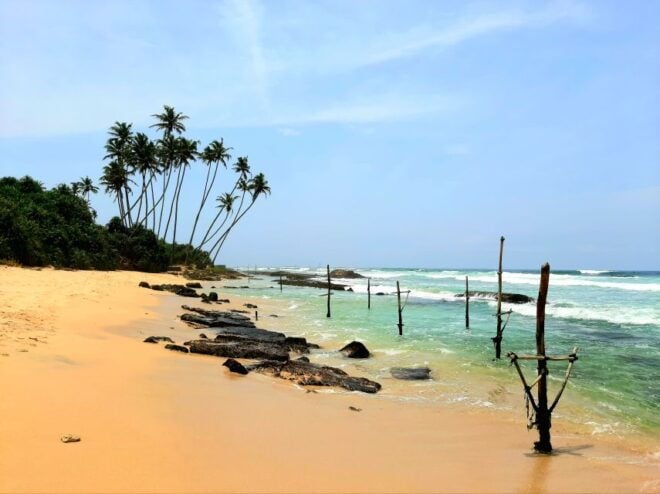 Bentota Beach, River Mangroves Lagoon, Wildlife Tour - Highlights of the Tour