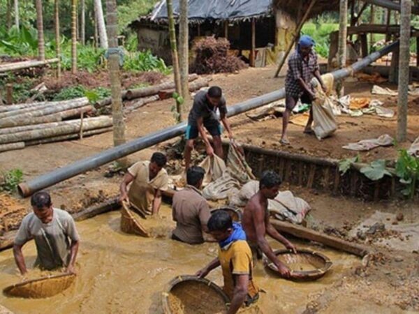 Bentota/Beruwala: a Private Gem Tour With an Industry Expert - Cancellation Policy