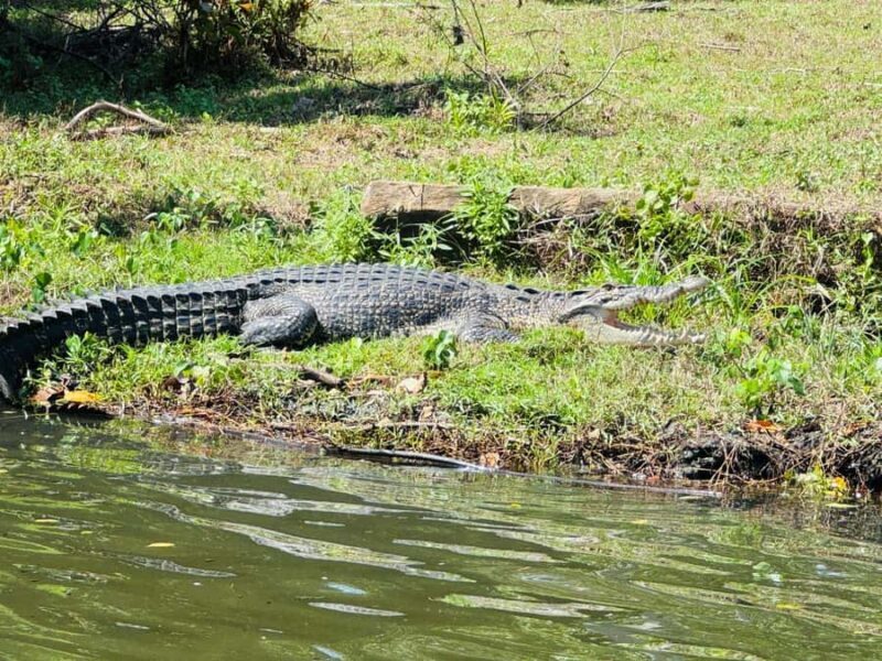 Bentota/Beruwala: Galle Fort, Koggala Lake & Kayaking Tour - Koggala Lake: A Tranquil Waterway with Wildlife
