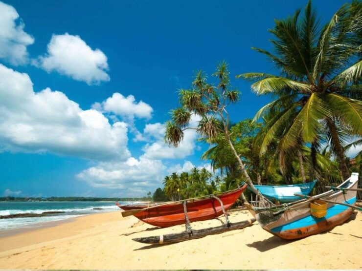 Bentota Bliss: Countryside Cycling Escape - Experience Itinerary