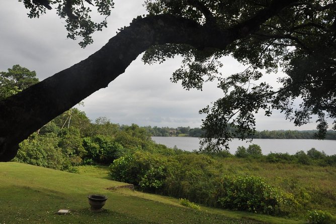 Bentota City Tour From Colombo Seaport - Inclusions and Exclusions