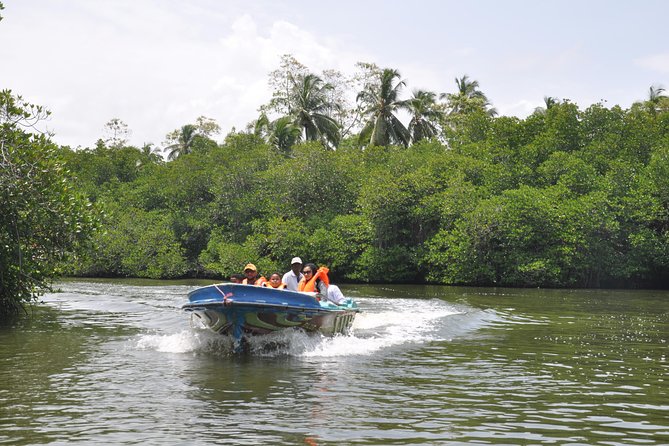 Bentota City Tour From Kalutara - Tour Operator Information
