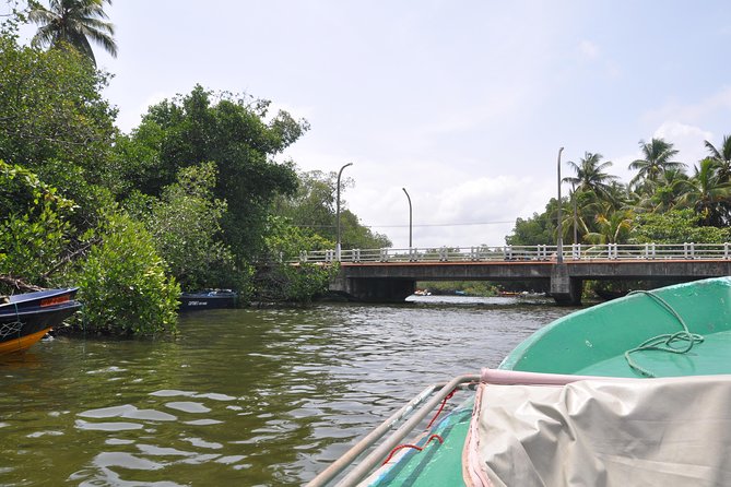 Bentota City Tour From Kalutara - Booking and Cancellation Policy