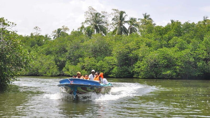 Bentota City Tour from Unawatuna - Final Thoughts