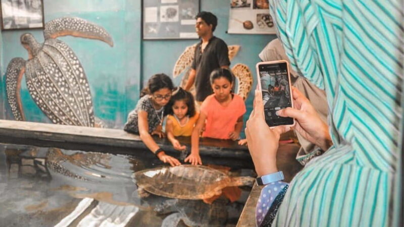 Bentota City Tour from Unawatuna - Good To Know