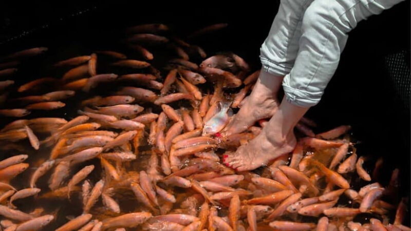 Bentota City Tour from Unawatuna - Exploring the Highlights of the Bentota City Tour