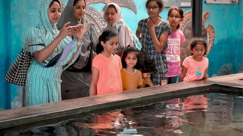 Bentota City Tour from Unawatuna - The Sum Up