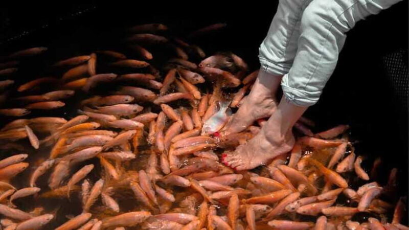 Bentota City Tour from Unawatuna - FAQ