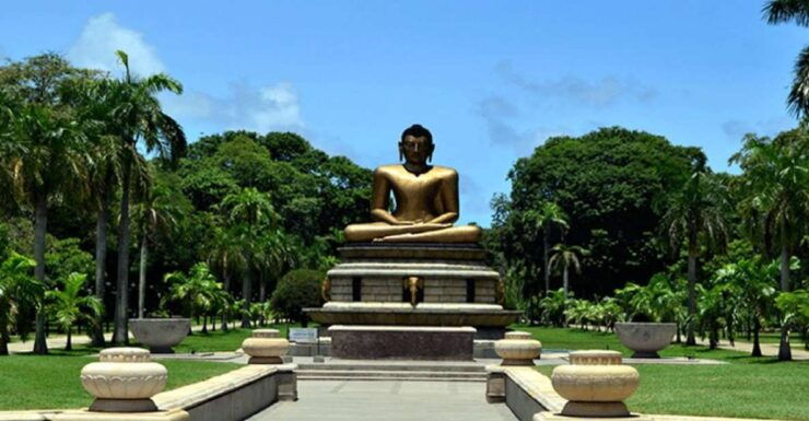 Bentota: Colombo Fishmarket and City Tour - Tour Overview