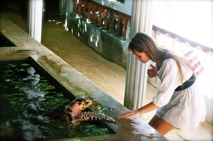 Bentota Day Tour From Colombo - Tour Booking Details